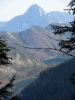 Schafluckensteig_37