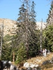 Schafluckensteig_41