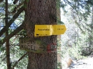 Schafluckensteig_43