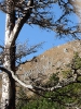 Schafluckensteig_44