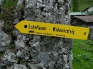 Scheffauer 2008_7