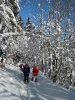 Schneeschuhwanderung 2005_10