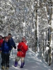 Schneeschuhwanderung 2005_11