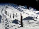 Schneeschuhwanderung 2007_6