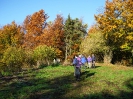 Sonnsteine Ebensee