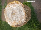 Suedtirol_11