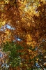 Tal des Holzes_13