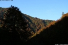 Tal des Holzes_16