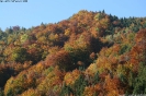 Tal des Holzes_17