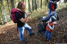 Tal des Holzes_3