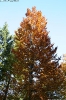 Tal des Holzes_4