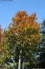 Tal des Holzes_5
