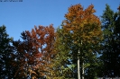 Tal des Holzes_6