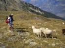 Vinschgau 2012