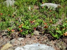 Vinschgau 2012_54