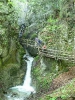 Vogelgesangklamm