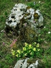 Dr. Vogelgesangklamm_46