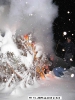 Wintersonnwendfeuer 2009_7