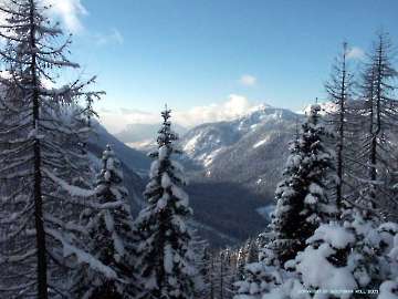 Chilitour auf die Liezenerhütte 2003