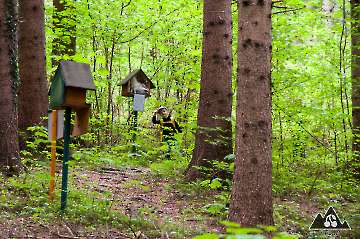 Familienwanderung Vogellehrpfad Holzing