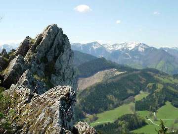 Lindaumauer