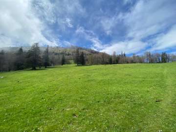 Mountainbike zur Grünburger Hütte, Wanderung Hochbuchberg