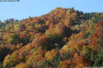 Wanderung Tal des Holzes