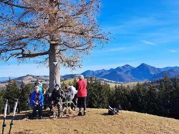 Wanderung Grillenparz